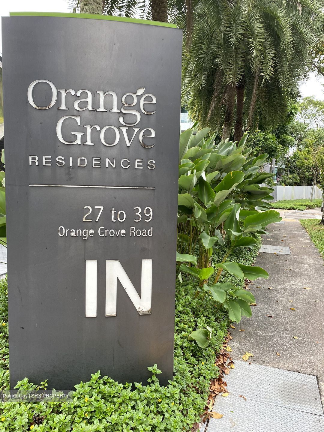 Orange Grove Residences (D10), Condominium #369809411